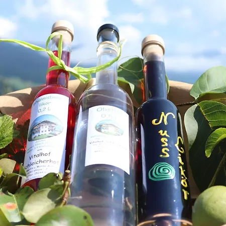 Schleicherhof V * Strass im Zillertal