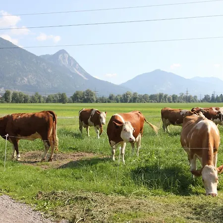 Appartamento Schleicherhof V