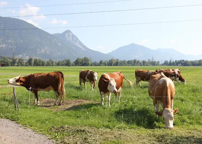 Daire Schleicherhof V