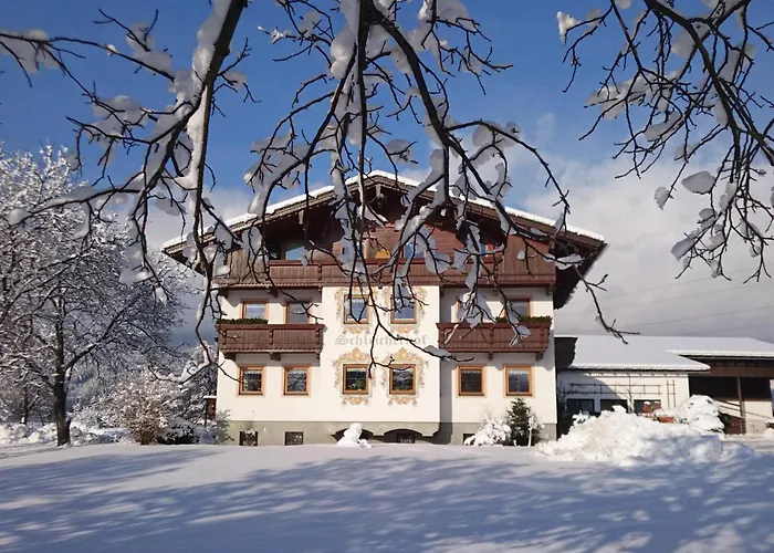 Daire Schleicherhof V *